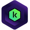 Kaspersky Premium 10dev 1an mini bs noCD FR * KL1047F5KFS-Mini *