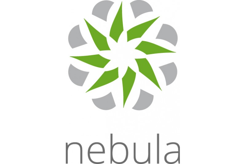 Zyxel Nebula Professional Pack licence d'abon 1 an 1 périph *LIC-NPRO-ZZ1Y00F *