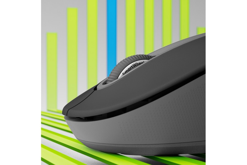 Logitech Signature M650 L souris grande taille Bluetooth, 2.4 GHz graphite
