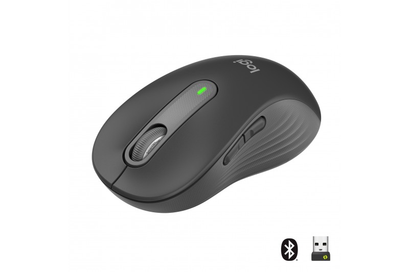 Logitech Signature M650 L souris grande taille Bluetooth, 2.4 GHz graphite
