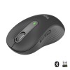 Logitech Signature M650 L souris grande taille Bluetooth, 2.4 GHz graphite