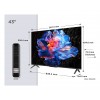 TV LED Ultra HD 43 POUCES 4K Google TV TCL 43P6K