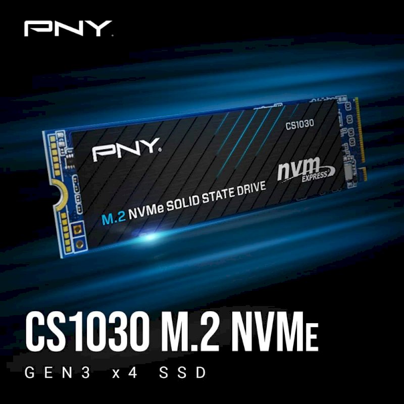PNY SSD M.2 NVMe CS1030 Gen 3.0 (250Go) * M280CS1030-250-RB *