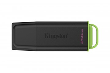 Kingston DataTraveler Exodia G2  - clé USB - 256 Go *  DTXG2/256GB *