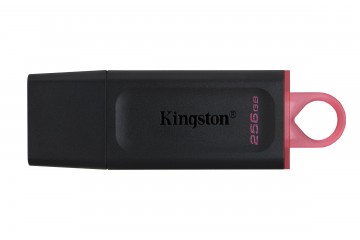 Kingston DataTraveler Exodia   - clé USB - 256 Go *  DTX/256GB *